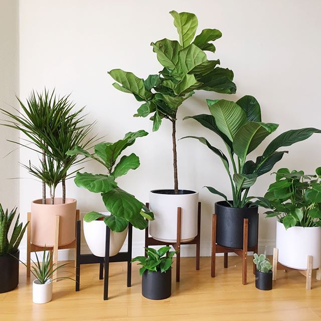 30 Beautiful Indoor Plants Design In Your Interior Home 30 Beautiful Indoor Plants Design In Your Interior Home