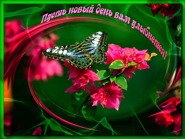 Днем, с новым днем картинки с надписями красивые