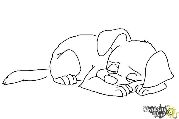 How to Draw a Sleeping Dog | Easy drawings for kids, Animal ...