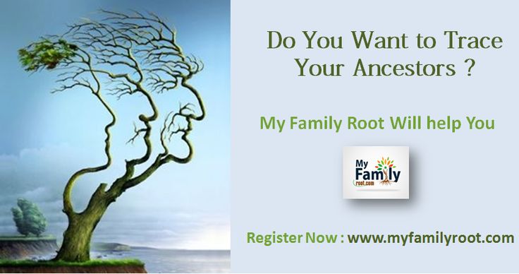 47 best Make Family Tree Online images on Pinterest Family tree