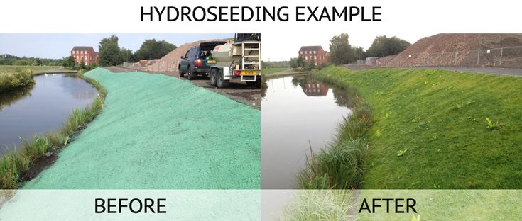 Hydroseeding Before And After Country Roads Wild Flowers Visiting<script async src=