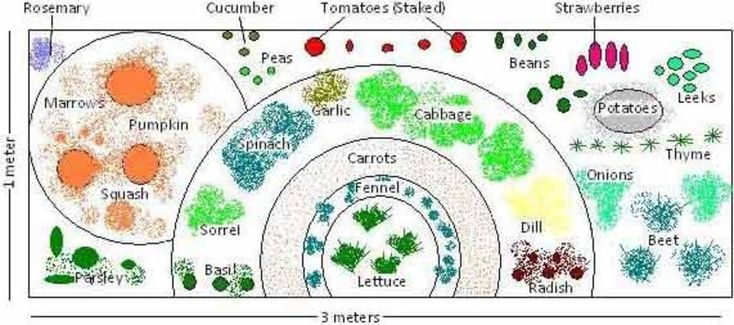 Free Vegetable Garden Plans Small Vegetable Garden Design Free Vegetable Garden Plans | small vegetable garden design whether it is a vegetable garden or a ... | The Naturally Organic Garden | Pinterest | Garden ... - Free Vegetable Garden Plans Small Vegetable Garden Design