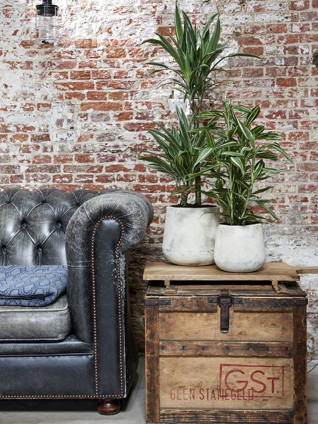 542 besten \WOHNEN Bilder auf Pinterest Zimmerpflanzen - wohnideen von feng shui 542 besten \WOHNEN Bilder auf Pinterest Zimmerpflanzen - wohnideen von feng shui