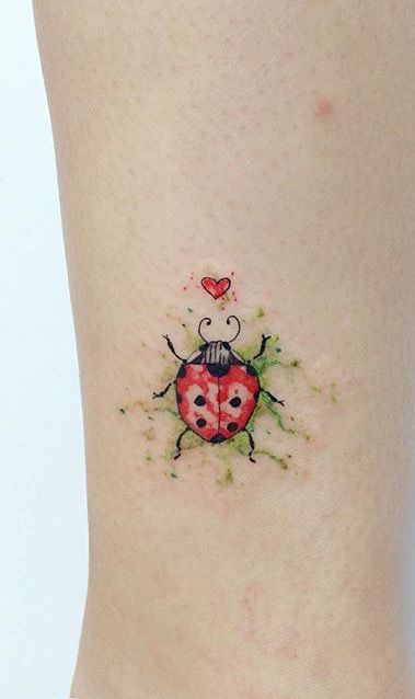 20 best ladybug images on pinterest amp artists and bird 20 best ladybug images on pinterest amp artists and bird