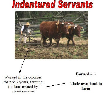 Essay indentured labour