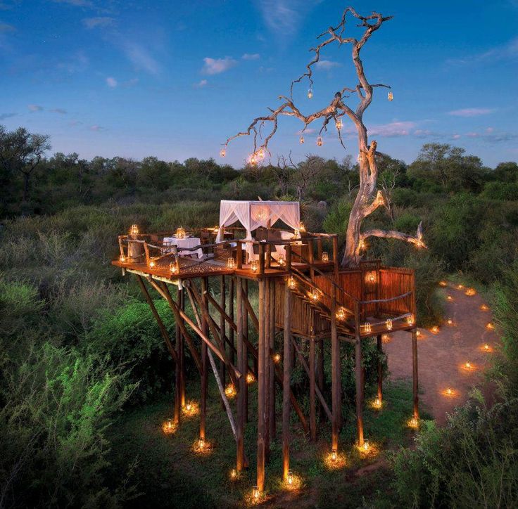 Nice Tree Houses 823 best treehouses images on pinterest | treehouses, architecture Nice Tree Houses 823 best treehouses images on pinterest | treehouses, architecture