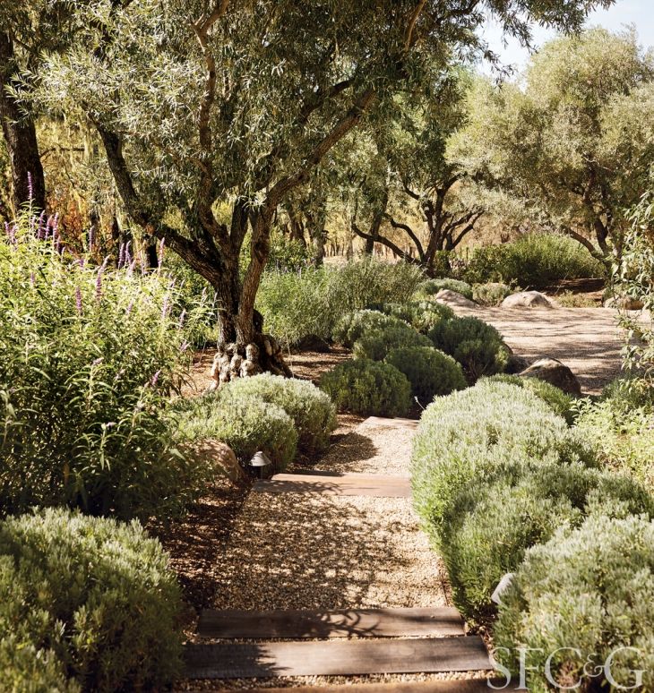 quelle inspiration pour le jardin sec un nouveau jardin gardens landscaping and garden ideas - Mediterranean Garden quelle inspiration pour le jardin sec un nouveau jardin gardens landscaping and garden ideas - Mediterranean Garden