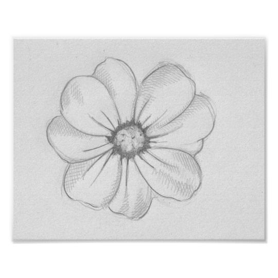 Pin by Sharmin on My saves in 2021 | Beautiful flower drawings ...