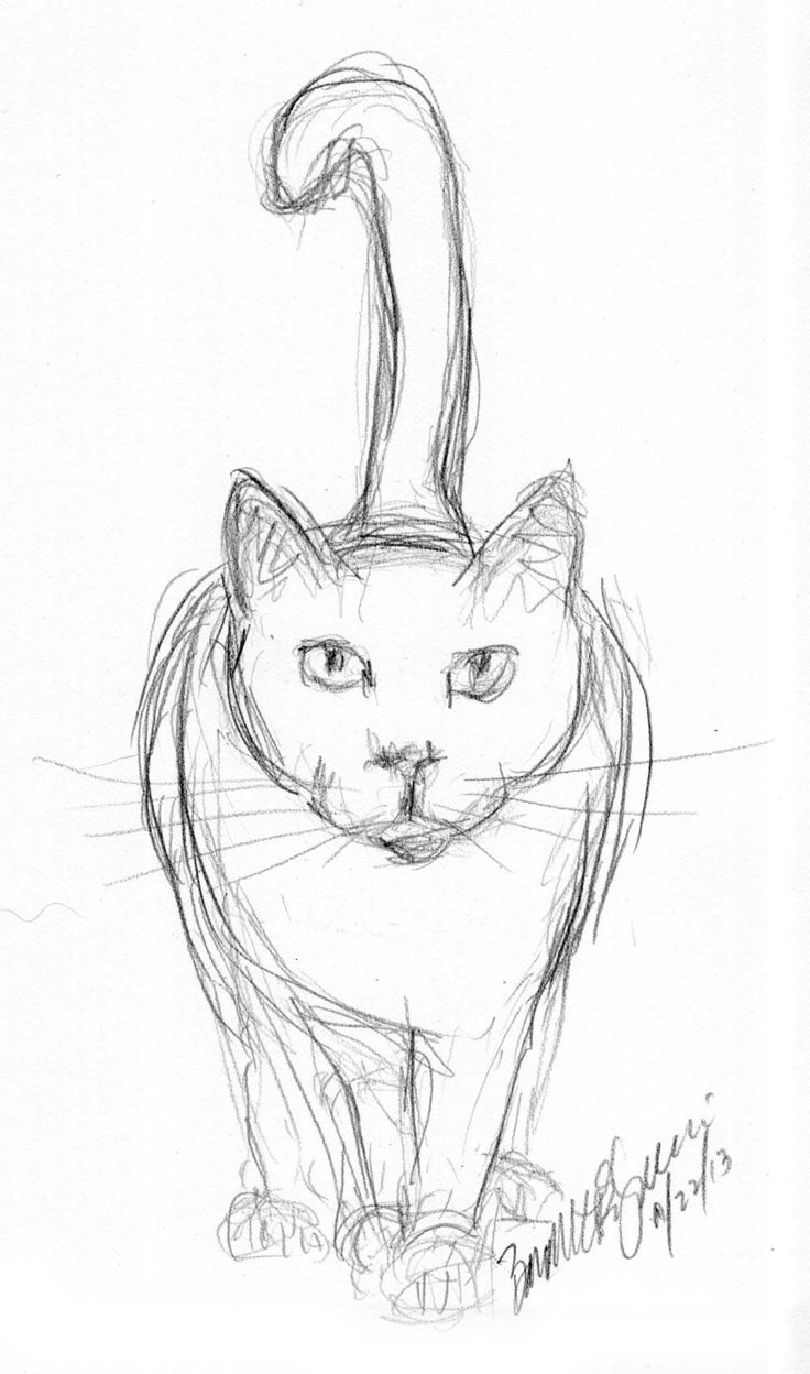 Uncategorized How To Draw Any Animal best 25 cat sketch ideas on pinterest wallpaper cute and reference