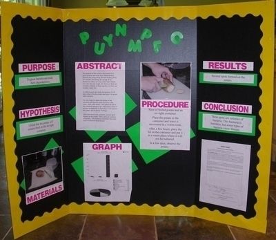 DisplayBoard 400x347 Pixels Teaching DisplaysScience Fair DisplayBoard 400x347 Pixels Teaching DisplaysScience Fair