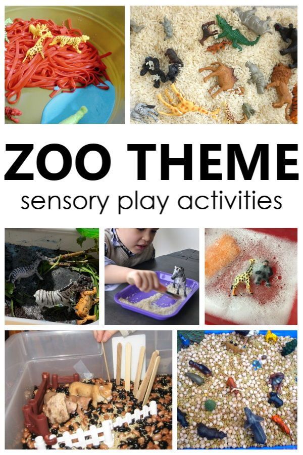 Zoo Theme Sensory Play Ideas For Toddlers And Preschoolers Zoo zoo-theme-sensory-play-ideas-for-toddlers-and-preschoolers-zoo