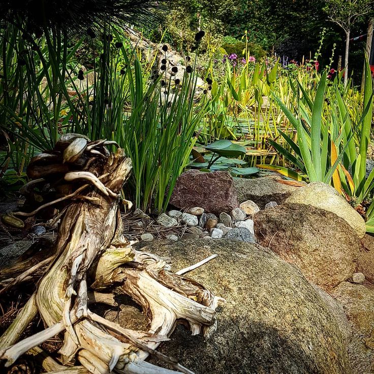 Einschulungsfeier Im Garten Pin auf gartengestaltung