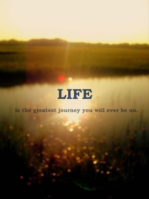 Quotable Quotes About Life Fair 24 Best Life Images On Pinterest Words Ig Captions And Proverbs . Quotable Quotes About Life Gorgeous 24 Best Life Images On Pinterest Words Ig Captions And Proverbs .