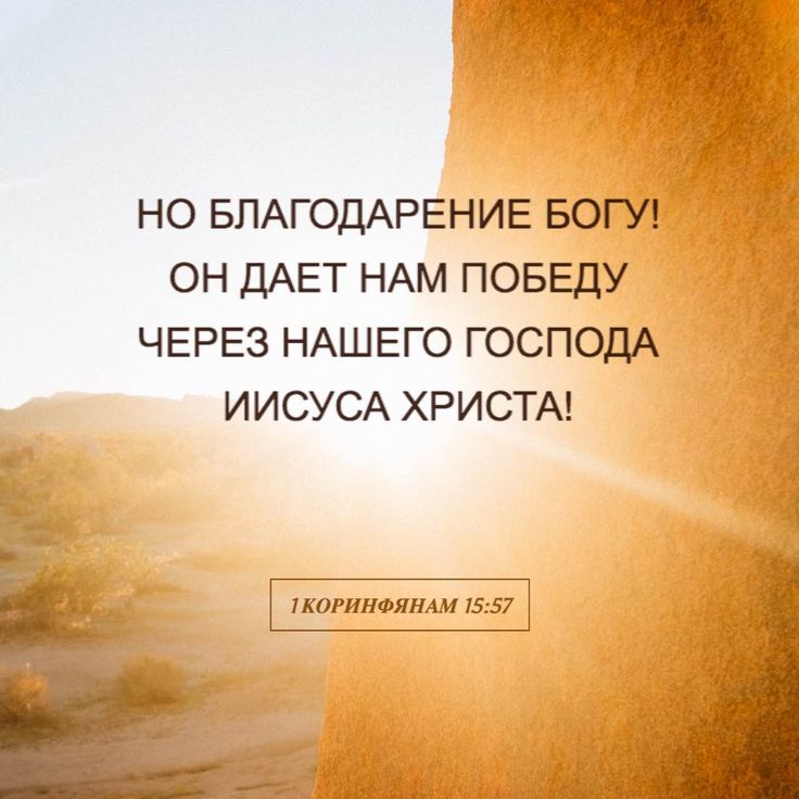 Христианские картинки спасибо богу, смешные катя