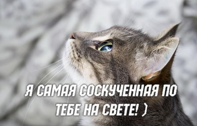 Ждать Прикольные Фото Ждать Прикольные Фото