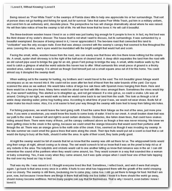 Write an essay on democracy