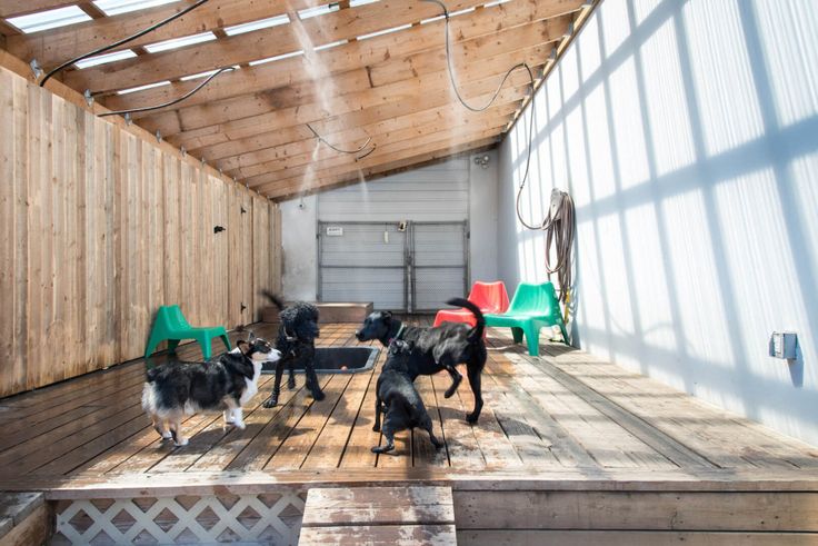 Dog Boarding Kennels In Phoenix Az Dog Boarding Kennels In Phoenix Az