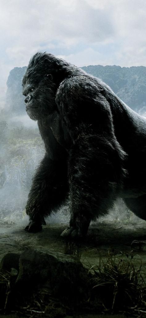 Best Wallpaper For Iphone X King Kong Movie Sp 11252436 4k Hd Best Wallpaper For Iphone X King Kong Movie Sp 11252436 4k Hd