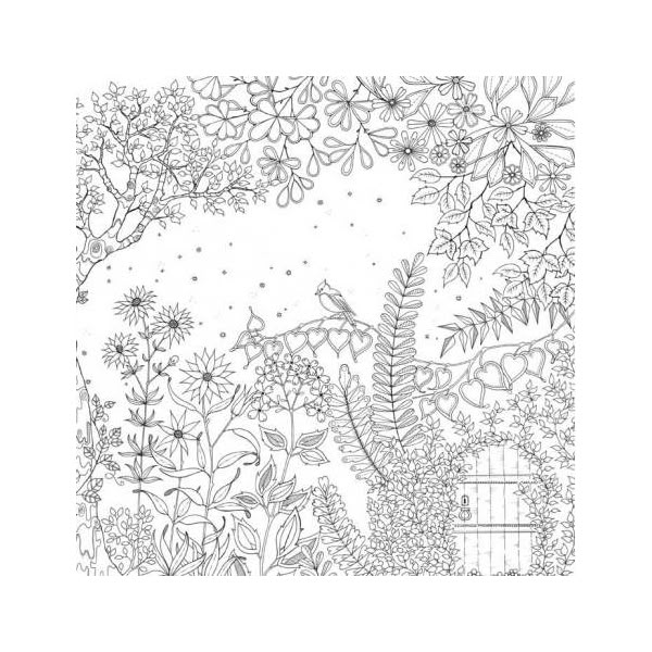 Secret Garden An Inky Treasure Hunt Colouring Book Australia Buy Online Or Brisbane