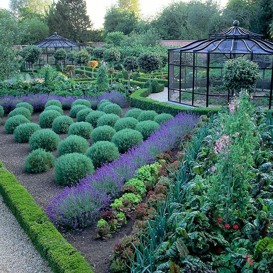 best 25+ vegetable garden design ideas on pinterest | vege garden best 25+ vegetable garden design ideas on pinterest | vege garden
