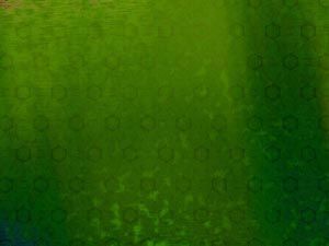 ppt background downloads