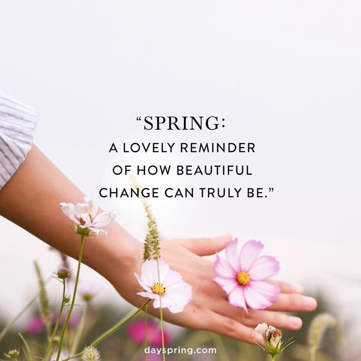 New Spring Forward in Faith 12 New Spring Forward in Faith 12
