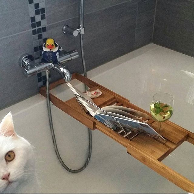 Xenos on Instagram: “Super leuk, @mooiselkedag heeft dit ...
