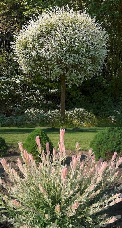 96 besten Japanischer Garten Bilder auf Pinterest | Japanische ... 96 besten Japanischer Garten Bilder auf Pinterest | Japanische ...
