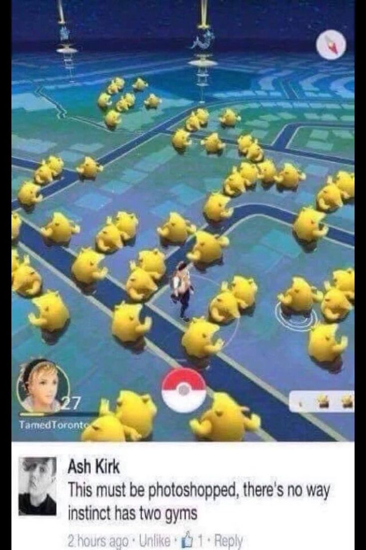 136 best pokemon go memes images on pinterest pokemon go f403c1eccb1860b28492b1f9591ff6c4 pokemon memes pokemon stuff 136 best pokemon go memes images on pinterest pokemon go,Theres No I In Team Meme