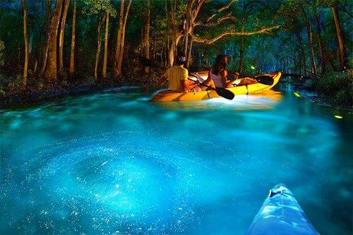 Cayman has one of the Best Bio Bays in the world! | Puerto rico trip