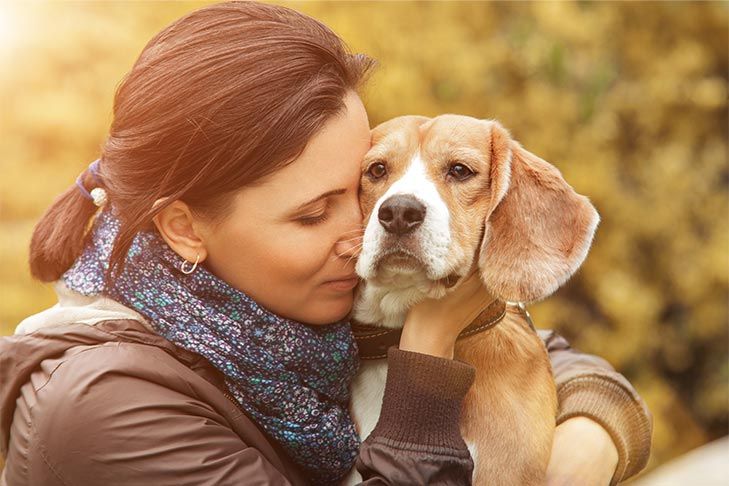 Pin On Latest Dog Stories