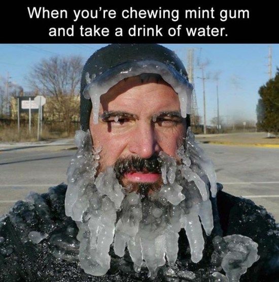 best 20 clean memes ideas on pinterest no signup required funny f40f394a541926c748ccbcdceaebfc38 funny phrases harley davidson best 20 clean memes ideas on pinterest no signup required funny,Memes Clean