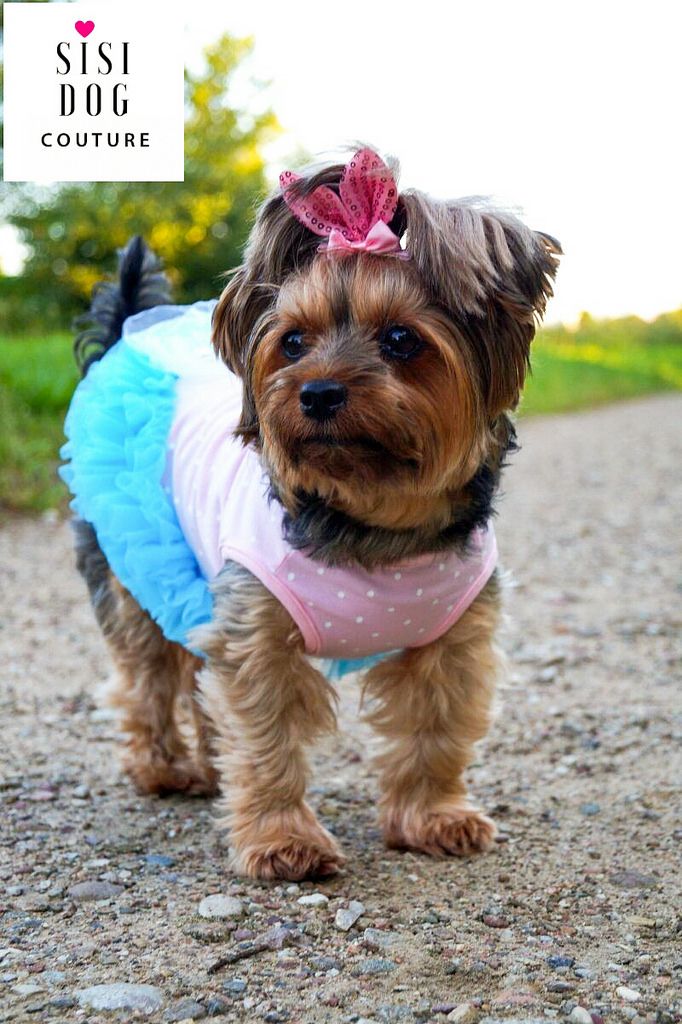 Fleece niedlicher Mops Hundebekleidung I Love My Mommy&Daddy Design Outfit für kleine Hunde und Katzen XS Yorkshire warmes Futter Chihuahua 2 Stück für Herbst und Winter Fleece niedlicher Mops Hundebekleidung I Love My Mommy&Daddy Design Outfit für kleine Hunde und Katzen XS Yorkshire warmes Futter Chihuahua 2 Stück für Herbst und Winter