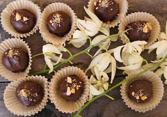 Truffle Cake Recipe Truffle Cake Recipe