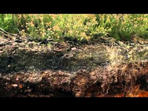 soil science