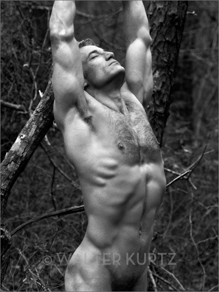 brad sherwood gay watch transgendered bbc