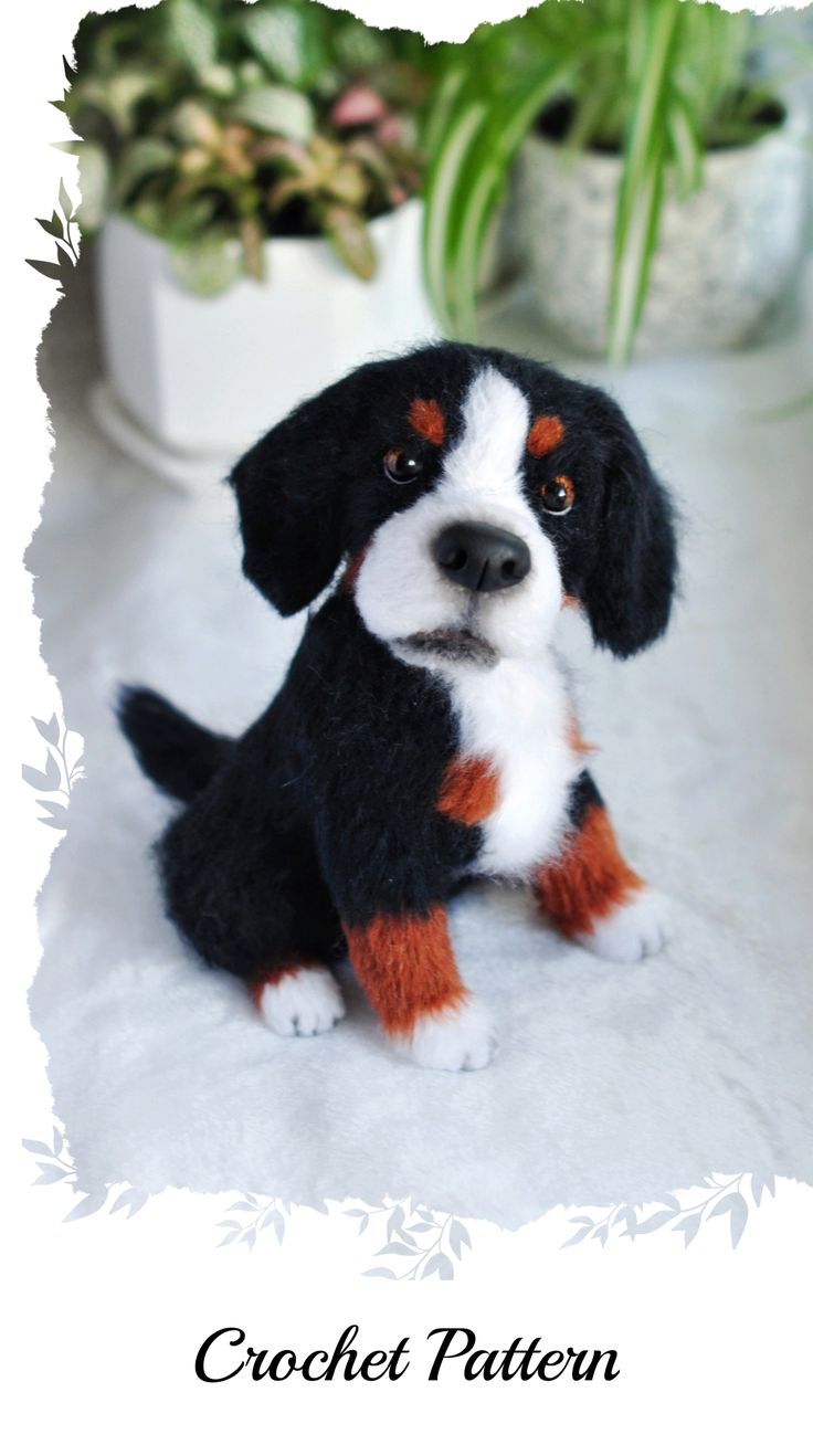 Crochet pattern Bernese Mountain Dog dog stuffed animal | Etsy in 2021