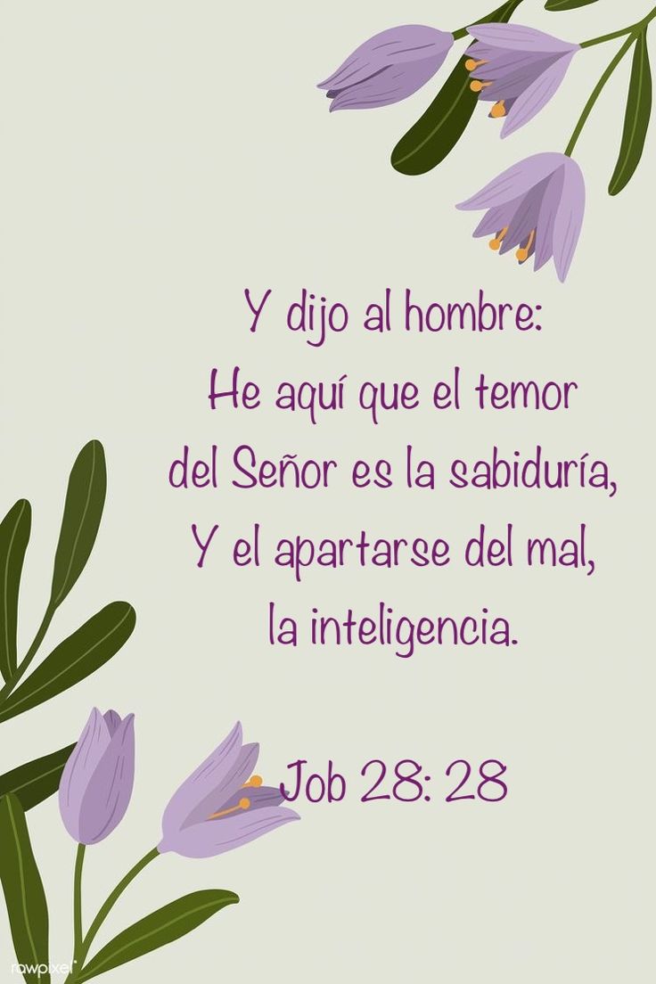 Purple Flowers With The Words Job 28 28 In Spanish And An Image Of purple-flowers-with-the-words-job-28-28-in-spanish-and-an-image-of