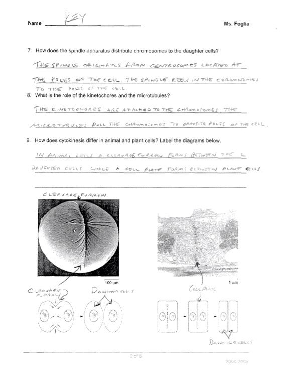 Biology 12 Respiration Study Guide Key