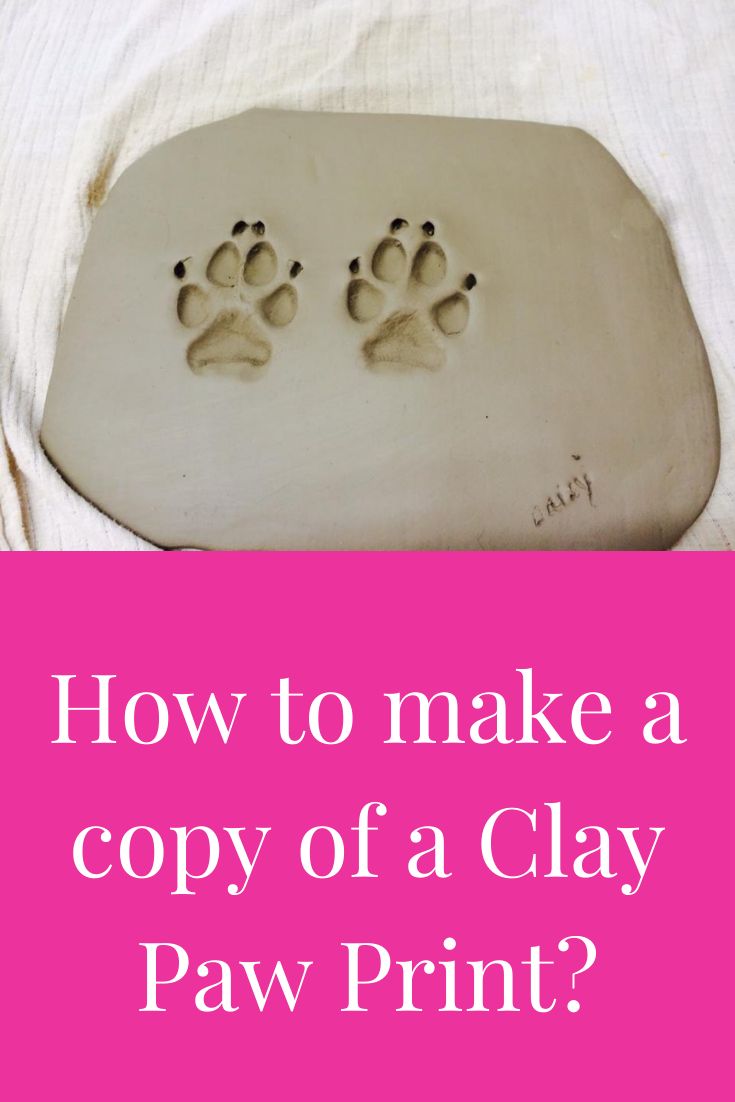 How To Make A Copy Of A Clay Paw Print Dog Paw Print Dog Paw Print how-to-make-diy-clay-pet-paw-prints-dalmatian-diy-pet-paw-print