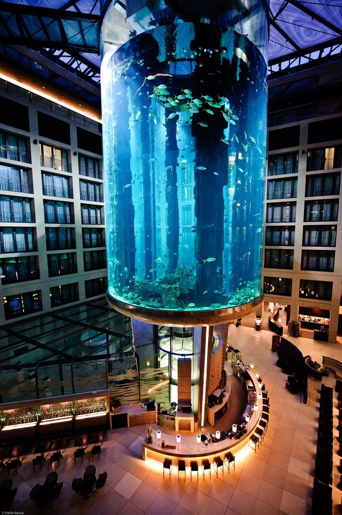Suche Hotel In Berlin Nahe Kurfurstendamm Suche Hotel In Berlin Nahe Kurfurstendamm