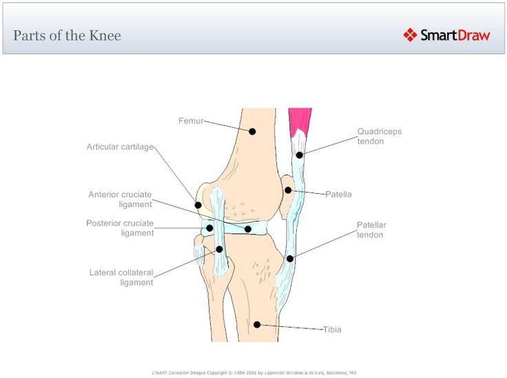 Knee Pain Diagram Knee Pain Diagram