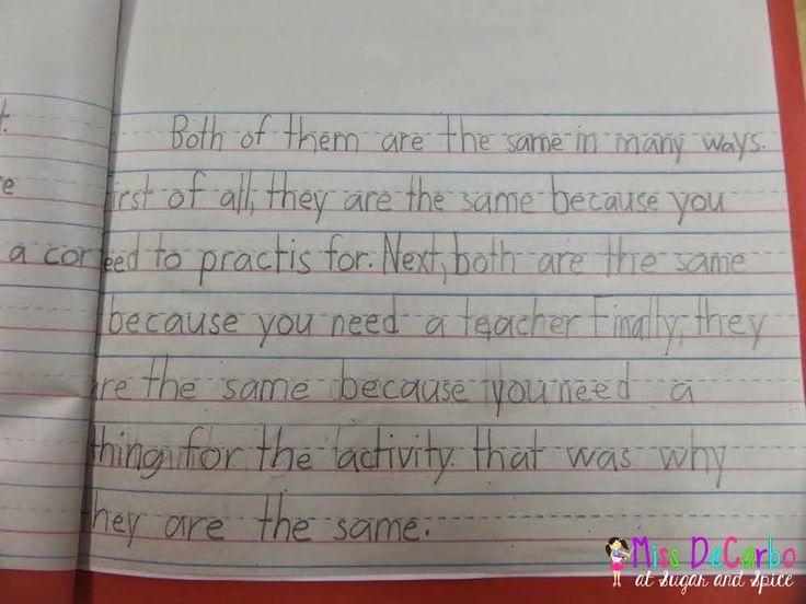 my birthday party essay