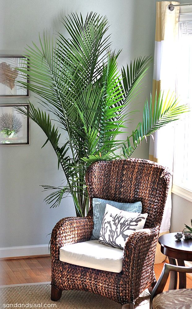 Lavish Home Palm Trees Green 5 ft. x 7 ft. 7 in. Indoor/Outdoor ... Lavish Home Palm Trees Green 5 ft. x 7 ft. 7 in. Indoor/Outdoor ...