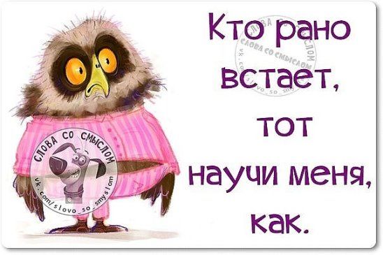 Открытка кто рано встает