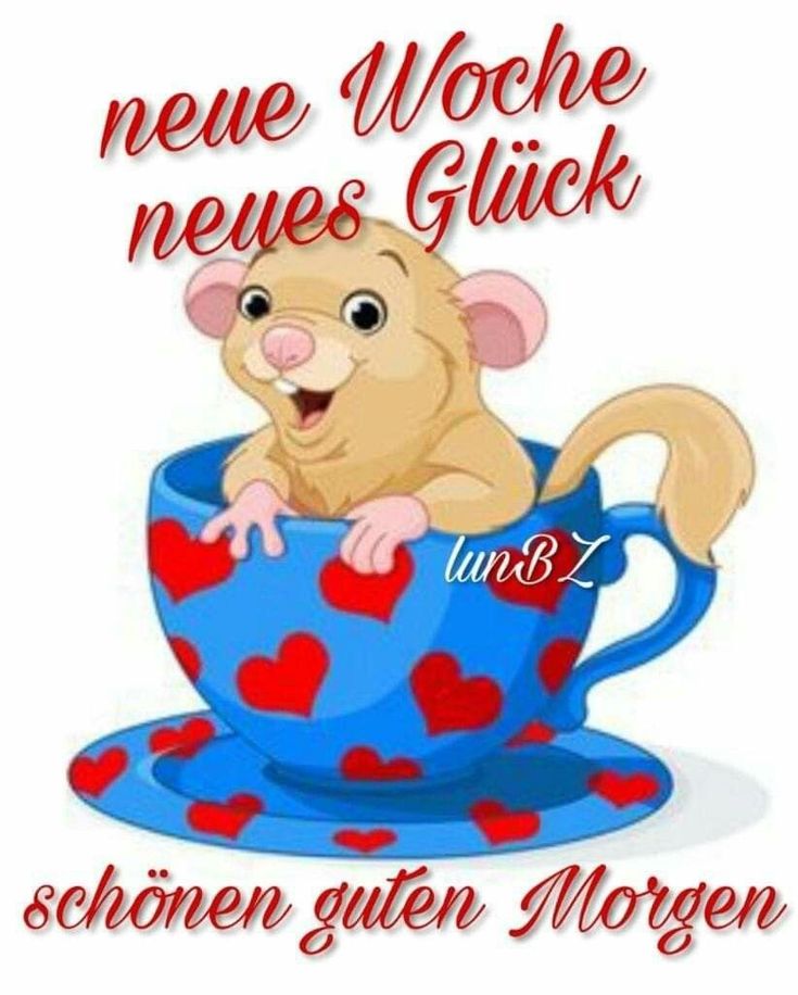Schöne guten morgen bilder kostenlos