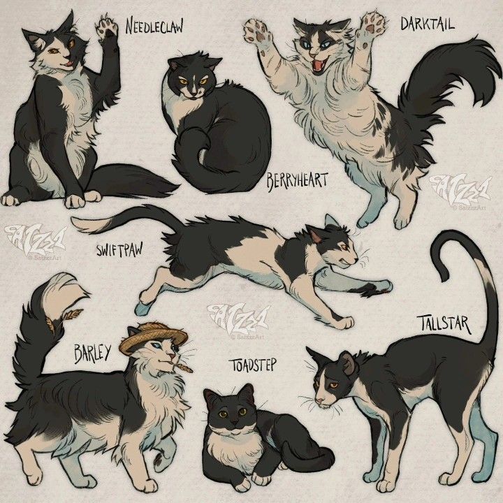 Warrior Cats🐾🐈