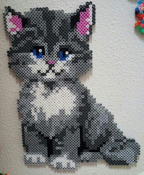 37 Idees De Perles Hama Chats En 22 Perles Hama Hama Perle 37 Idees De Perles Hama Chats En 22 Perles Hama Hama Perle
