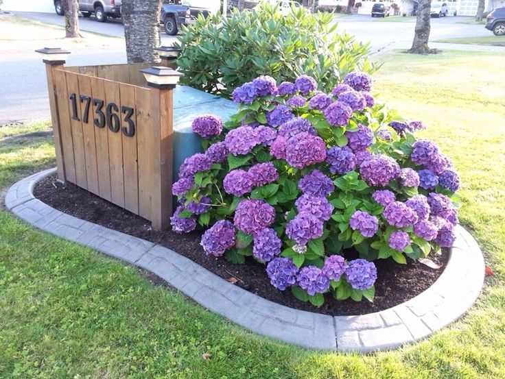 #landscapingideasforthesoul | Front yard landscaping design, Front