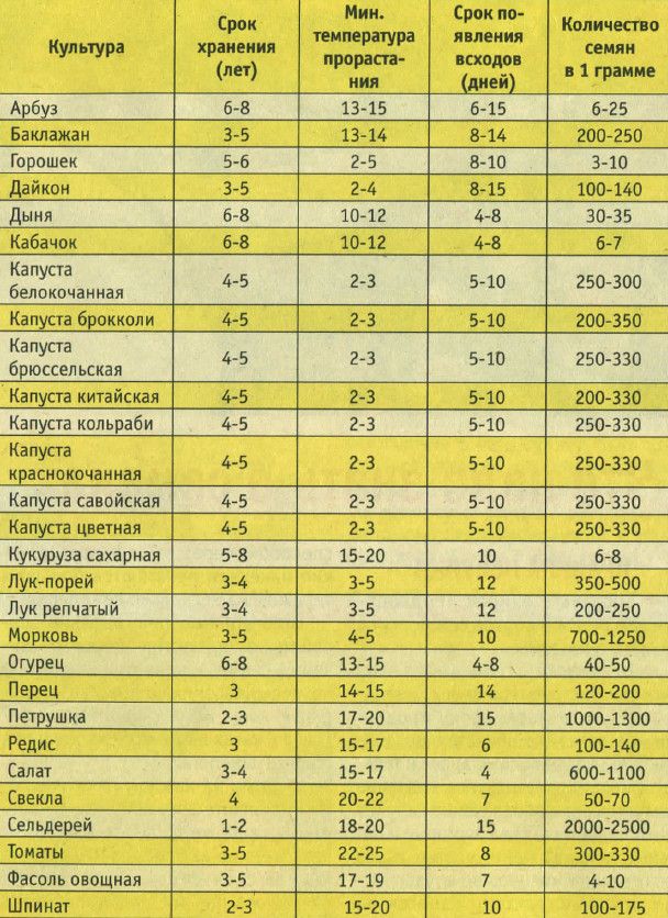 Семена на все времена или как отличить профессиональные семе.